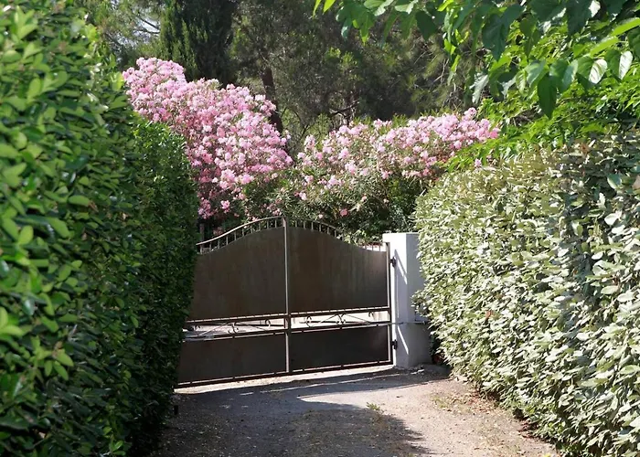 Flat * Biguglia (Corsica)